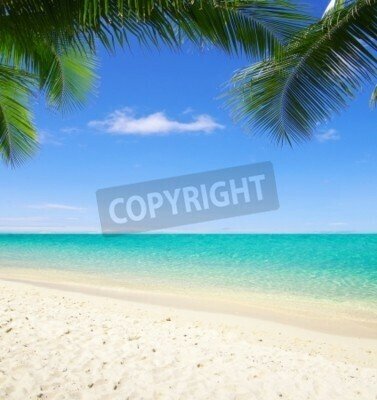 Fototapete Strand und ruhiges Meer