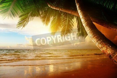 Fototapete Karibisches Meer und Strand