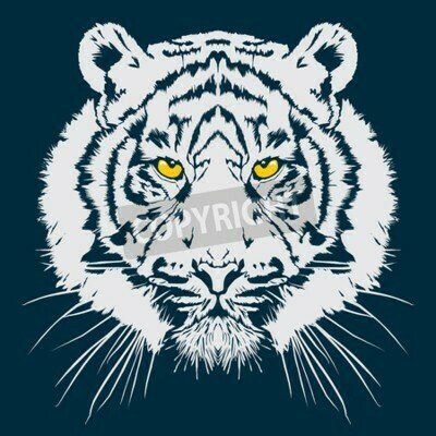 Fototapete Abbildung eines weißen tigers