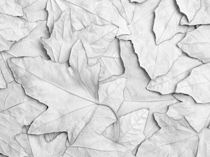 Fototapete 3D-Hintergrund mit weißen Blättern