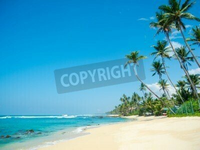 Fototapete Tropischer Strand in Sri Lanka