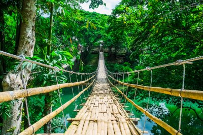 Fototapete Hängebrücke im tropischen Wald