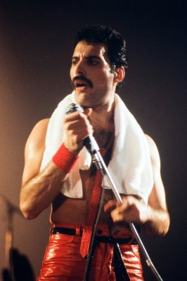 Poster LEIDEN, DIE NIEDERLANDE - 27. NOVEMBER 1980: Freddy Mercury Sängerin der britischen Band Queen bei einem Konzert in den Groenoordhallen in Leiden in den Niederlanden