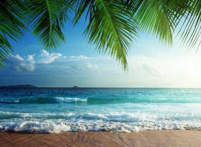 Fototapete Tropen und Wellen auf See