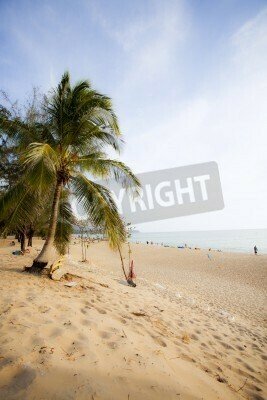Fototapete Strand Sand und Natur