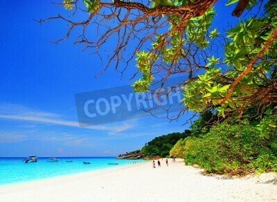 Fototapete Strand grüne Bäume und Ozean