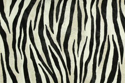 Fototapete Tiger textur