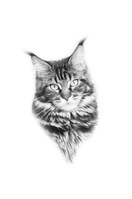 Sticker Katzen Kopf einer flauschigen Katze mit Pinseln an den Ohren