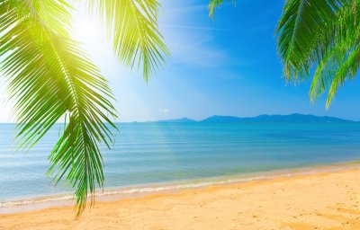 Fototapete Blick auf Tropen und Ozean