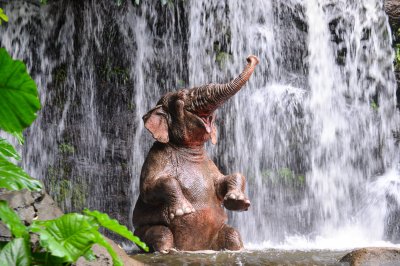 Fototapete Elefant und Wasserfall im Dschungel